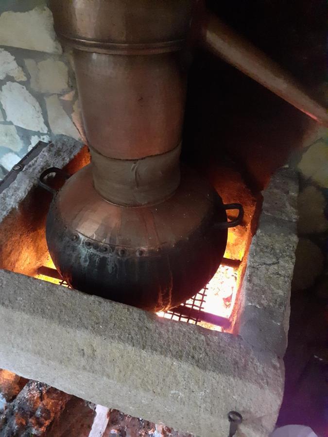 Aromas Dos Salgueiros Villa Castelo de Vide Bagian luar foto